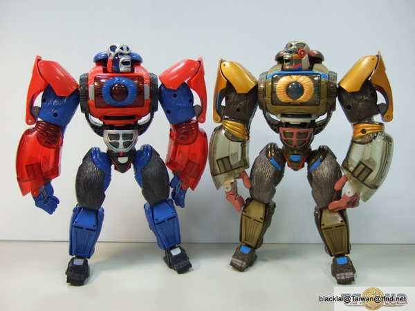 Year Of The Monkey Optimus Primal Out Of Box Show Platinum Edition Compared With Original  (13 of 50)